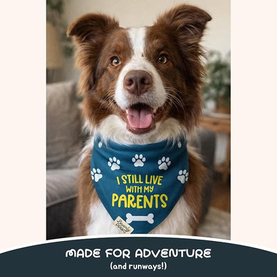 Funny Snap-On Dog Bandana for Small Medium Large Pets, Dogs Cats Adjustable Handkerchief Scarf for Girl & Boy, Cute Puppy Apparel & Accessories (Still Live with Parents, Small)
