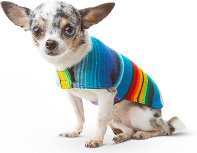 Dog Clothes - Handmade Dog Poncho - from Authentic Mexican Blanket (Blue, X-Small)