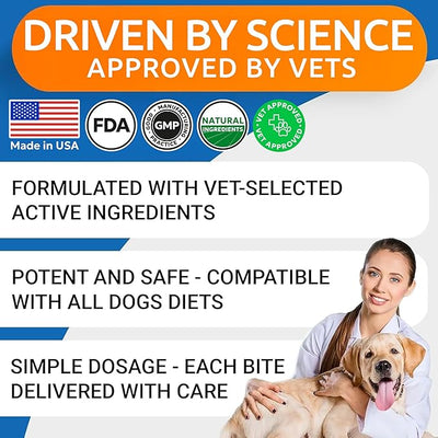 BARK&SPARK Dog Allergy Relief Soft Chews for Skin Health & Seasonal Allergies - Anti-Itch Supplement w/Omega-3, Quercetin & Bromelain Immune Treats for Dry Skin & Hot Spots - Chicken - 120ct