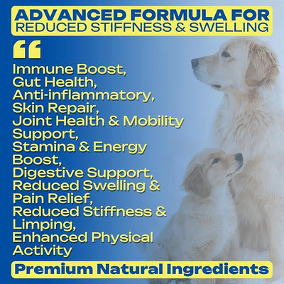 Yeast-Infection-Treatment for Dogs – Soothing Itchy Skin, Ears & Paws – Natural Relief with Omega-3, Collagen, PAU D’Arco & Apple Cider Vinegar – Dog Yeast-Infection Support Chews