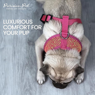 Parisian Pet Girl Dog Harness - Breathable Mesh Pink Yellow No Pull Puppy Harness with Leash Ring - Adjustable Harnesses for Dogs - Soft Step-in Pet Vest - Lightweight Dog Vests for Small Sized Dogs