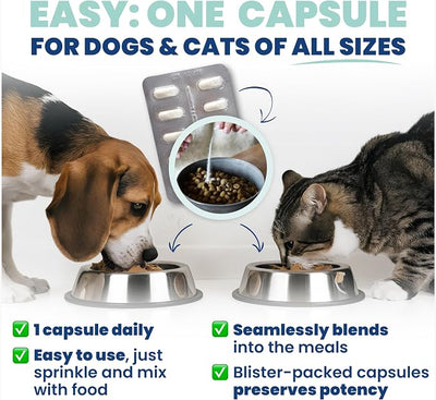Jope Synbiotic GB-01® - Prebiotics and Probiotics for Dogs & Cats - Clinically Proven Formula - Vet Formulated for Gut Health, Stool Quality, Diarrhea, Immunity, Skin & Coat - 30 Gut Powder Capsules
