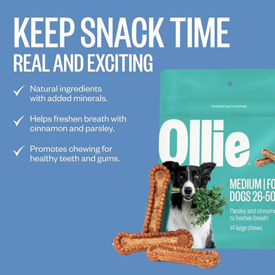 Ollie Dental Chews for Medium Dogs, 12 Oz, Fresh Breath, Teeth Cleaning Treats, Sticks for Dog Oral Care, with Parsley and Cinnimon, for Pups 26-50 lbs