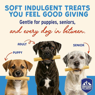Himalayan Dog Chew Yogurt Sticks, Yogurt, Dog Treats with Prebiotics, Probiotics & Protein, Digestive Support, Lactose & Gluten Free, Natural Dog Treat for All Breeds, Made in America, 4pk