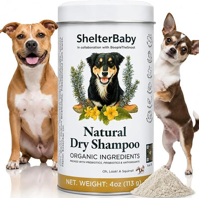 Dry Shampoo for Dogs – Antifungal Itchy Skin & Hot Spot Relief, Yeast Infection & Paw Licking Treatment, Dog Powder with Allergy Support