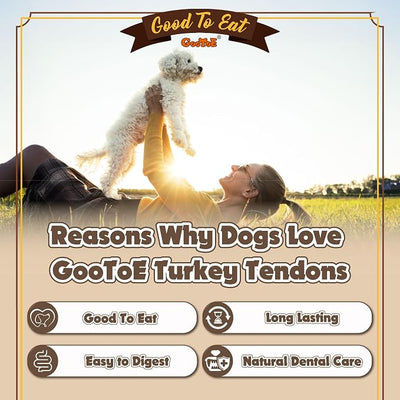 Gootoe Turkey Tendons for Dogs – All-Natural, Hypoallergenic Dog Treats, Rawhide Alternative, Long Lasting Puppy Chews, Healthy Dog Treats for Small Breeds, Rope (S), 1 lb