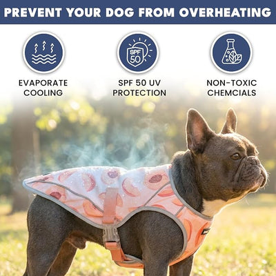 Spark Paws Dog Cooling Vest - SPF 50 UV Sun Protection - Summer Heat Relief Gear for Dogs, Lightweight, Evaporative Cooling - Dog Anxiety Relief Vest During Hot Days - Peaches - Size S