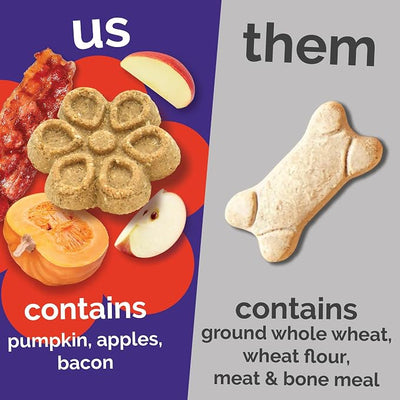 Fruitables Biggies Dog Biscuits, Healthy Treats for Dogs, Pumpkin Doggie Biscuits, Crunchy Treats, Made Without Wheat, Corn and Soy, Made in the USA, Crispy Apple and Bacon Flavor, 16oz