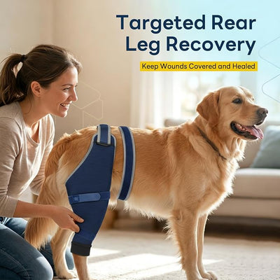 Dog Sleeve for Rear Legs to Stop Licking, Upgraded Recovery Sleeve for Hind Back Leg Wounds,TPLO, ACL Surgery, Light Comfortable Cone Alternative, Right,XL, Blue