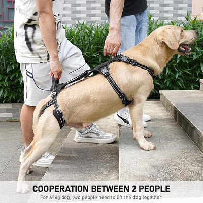 COODEO Mobility Dog Lift Harness, Support Sling & Walking Sling for Dogs, Pet Rear Leg Rehabilitation Support Vest, Dog Carrier for Senior Dogs with Joint Injuries, Arthritis, Up Stair (Black, S)
