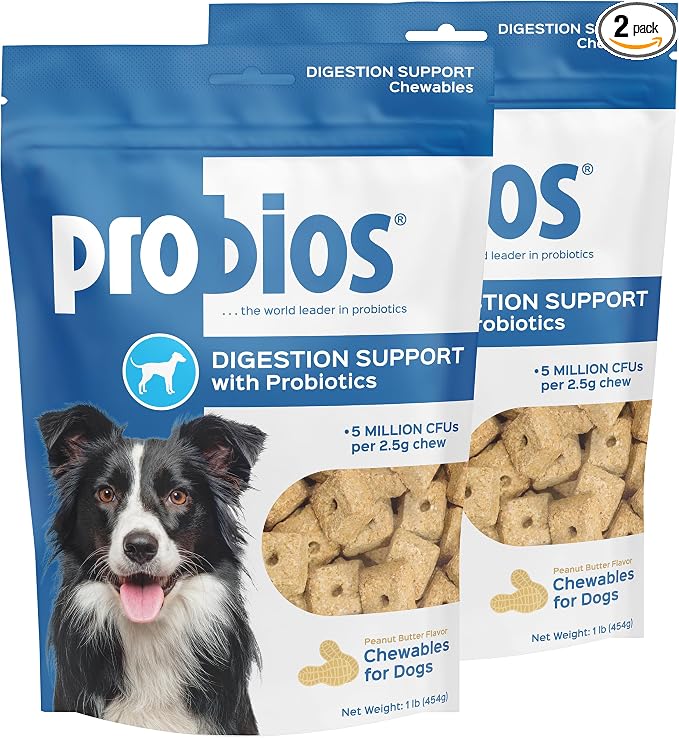 Probios Digestive Support Chewables for Dogs, Daily Probiotic Supplement with Digestive Enzymes and Prebiotics for Gut Health and Immune Support, 1 lb (Pack of 2)