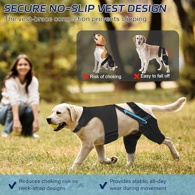 Dog Knee Brace for Torn ACL Hind Leg– Dog Leg Brace with Metal Stabilizers for Dogs with Torn ACL, Luxating Patella, Ligament Injuries & Hip Dysplasia, Limping or Osteoarthritis Recovery,M-2