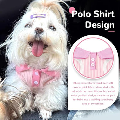 2 Pack Dog Tshirts for Small Dogs Polo Shirt Stretchy Dog T Shirt Breathable Dogs Cooling Vest Girl Boy Puppy Dachshund French Bulldog Frenchie Chihuahua Clothes (Pink & White)