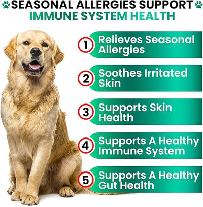 Dog Allergy Chews - Dog Allergy Relief - 170 Treats with Probiotics and Colostrum for Itchy Skin Relief to Support Seasonal Allergy and Healthy Immune System - All Natural Anti-Histamine - Made in USA