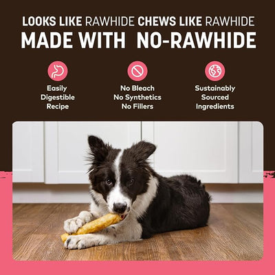 Earth Animal No Hide Chews - Long Lasting Rawhide Free Medium Dog Chews Rolls, Salmon - 2 Count