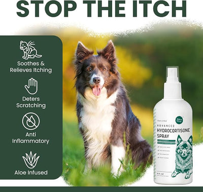 Hydrocortisone Spray for Dogs and Cats, 8 oz - Hot Spot Treatment, Anti Itch Relief, Medicated for Allergies, Dermatitis, Flea Bites, Dry Skin - with Pramoxine and Aloe, Made in USA | Chew + Heal Labs