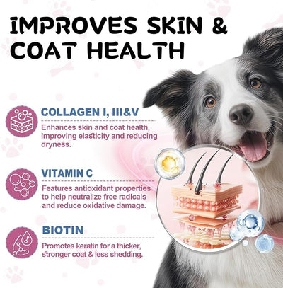 Collagen for Dogs and Cats, Liquid Collagen for Dogs - 5 Types of Grass-Fed Collagеn (I, II, III, V & X) for Skin & Coat, Itch Relief, Hips & Joints with MSM, Biotin and Hyaluronic Acid, 2 Packs