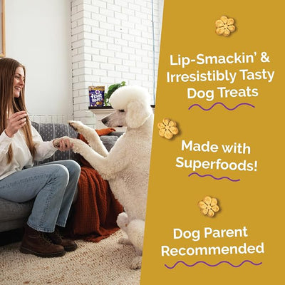 Fruitables Baked Dog Treats, Healthy Pumpkin Treat for Dogs, Low Calorie & Delicious, Made Without Wheat, Corn and Soy, Made in the USA, Allergy Friendly, Chicken and Cranberry Flavor, 20 oz