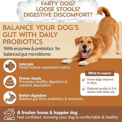 Fidobiotics Good Guts Probiotics for Dogs – Dog Probiotic Powder for Digestive Health, Gas Relief & Firmer Stools, 3B CFUs, Enzymes & Prebiotics, Small Dogs, Puppies & Adults - Pack of 2