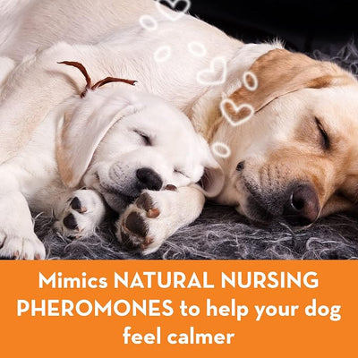 ThunderEase Dog Calming Pheromone Diffuser Kit | Powered by ADAPTIL | Vet Recommended to Relieve Separation Anxiety, Stress Barking and Chewing, and Fear of Fireworks & Thunderstorms (90 Day Supply)