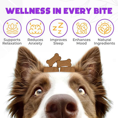 Hemp Calming Chews for Dogs Anxiety 200 pcs - Duck Flavored - Dog Anxiety Relief - Dog Calming Chews - Melatonin for Dogs - for Stress, Travel, Check-up, Barking or Grooming - Dog Calming Treats