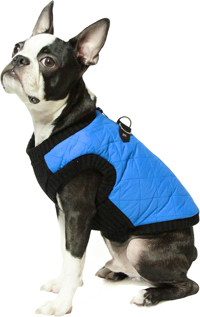 Fashion Vest Dog Jacket - Blue, Large - Warm Zip Up Bomber Vest with Dual D Ring Leash - Winter Water Resistant Small Dog Sweater