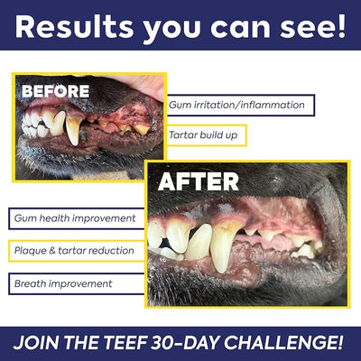TEEF for Life Protektin42 Prebiotic Dog Dental Powder Refill - 180 Servings (6 Packets) Tasteless Natural Water Additive for Dogs, Teeth Cleaning, Bad Breath, Tartar & Plaque Remover, 4-Ingredients