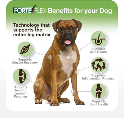 K9 Joint & Hip Supplement for Dogs – Hip Dysplasia, Joint Stiffness, Anti-Inflammatory & Mobility Support – Serrapeptase, Glucosamine, Chondroitin, Collagen & HA for Senior & Active Dogs
