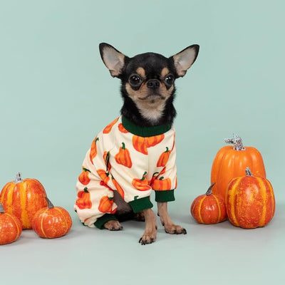 Fitwarm Pumpkin Dog Pajamas, Thanksgiving Outfit for Small Dogs Boy Girl, Fall Pet Clothes, Beige, Orange, Green, Small
