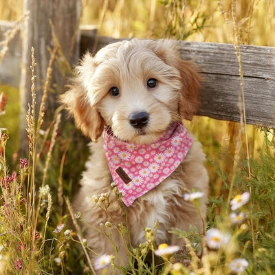 Spring Dog Bandanas Girl Pink Daisy Cotton Washable Comfortable Triangle Dog Scarf Adjustable Pet Bib Kerchief for Small Medium Large Dogs S