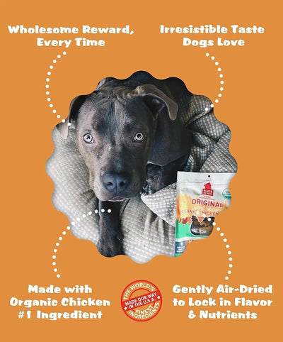 PLATO Pet Treats Real Strips Dog Treats – USDA Organic Chicken – Air-Dried High Protein Dog Treats – Limited Ingredient, Nutrient Dense, No Fillers – Made in USA – 6 oz