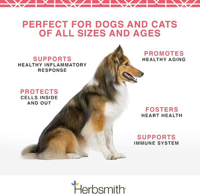 Herbsmith Pure Krill - Wild-Caught Antarctic Krill - Just 1 Ingredient - Astaxanthin for Dogs - Ready-to-Use Omega 3s – Alternative to Krill Oil for Dogs - 400g