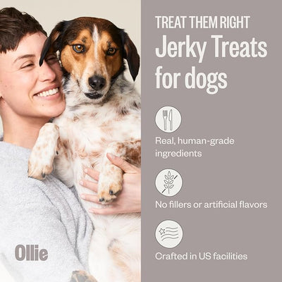 Ollie Jerky Dog Treats Variety Pack, Chicken and Apple and Beef and Sweet Potato Bundle, All Natural, Healthy, Made with Real Meat 5 Oz. Pack of 2