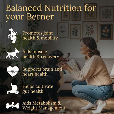Bernese Mountain Dog Multivitamins, 90 Count, Made in the USA with Real Bacon.