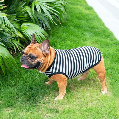 iChoue 2pcs French Bulldog Striped Shirts 100% Breathable Cotton Tank Tops Vests Clothes for Frenchie Dogs, Black and Green Stripes, Large