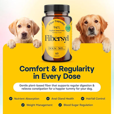FiberSyl Prebiotics for Dogs Digestive Health - Dog Fiber Supplements for Constipation Relief & Support - Psyllium Husk Seed for Dog' Digestion Problems - Dog Stool Hardener - 60 Capsules