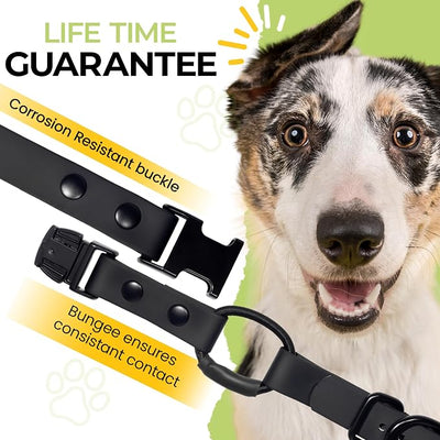 eCollar Replacement Strap Bungee Style - Waterproof Collar Compatible with Garmin, Dogtra, SportDOG, Educator (Black, 3/4")