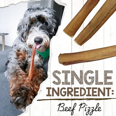 Nature Gnaws Extra Large Bully Sticks for Dogs 11-12" (3 Count) - Thick Long Lasting for Aggressive Chewers and Heavy Chewers - Natural Beef Dog Chew Bones