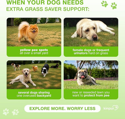 Green Lawn Chews for Dogs - Natural Dog Urine Neutralizer for Lawn with Cranberry, Probiotics, ACV & Digestive Enzymes - 120 Chews for Healthy Bladder, Urinary Tract - Grass Burn, Yellow Spots Treats