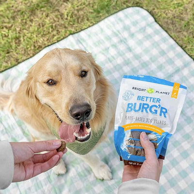 Plant-Based Dog Training Treats (6oz) - Low-Calorie, Soft Chew, Healthy Dog Treats - Clean-Label, Sustainable Ingredients - Adult Pet & Puppy Essentials - USA Made (Better Burg’r)