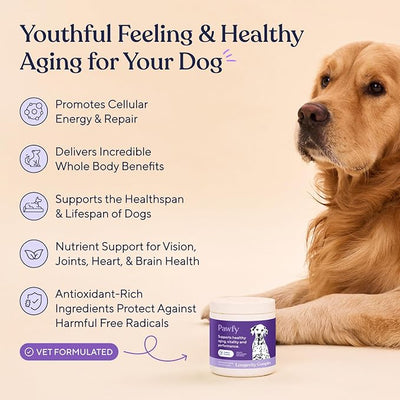Pawfy NMN Longevity Dog Chews with Fucoidan & CoQ10 | Senior Dog Supplement for Joint, Brain, Eye & Energy Support | Daily Healthy Aging Formula | 30 Soft Chews (Turkey)