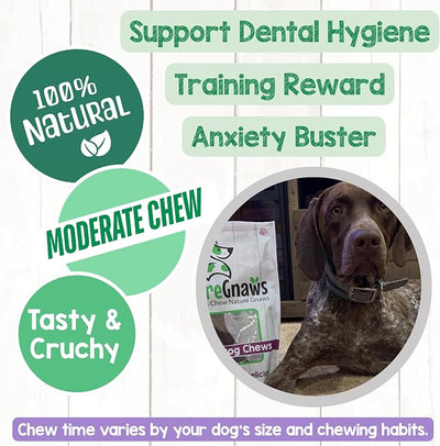 Nature Gnaws Beef Gullet Chews for Large Dogs 9-10" (20 Count) - Natural Beef Jerky Stick Dog Chew Treats - Rawhide Free