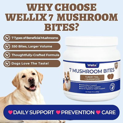 550 Bites Turkey Tail Mushroom for Dogs - Immune, Gut, Skin, Joint Health Mushroom Supplement for Dogs - Turkey Tail for Dog Chews with All Breeds & Sizes - Chicken Flavor Dog Supplements