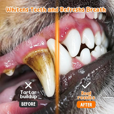 Dog Dental Powder for Teeth Cleaning - Dog Dental Care, Plaque & Tartar Remover for Teeth, Fresh Mint Breath Freshener, Probiotics Dental Powder - No Brushing Oral Care Support(150g)