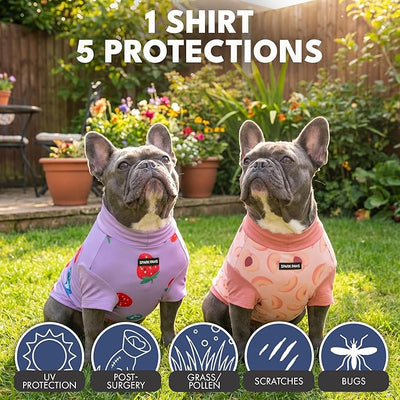 Spark Paws Sunblock Dog T-Shirt, SPF30 Protection, Lightweight Breathable Quick Dry for Dogs with Sensitive Skin - Berries & Peaches (Set of 2) - Size XL