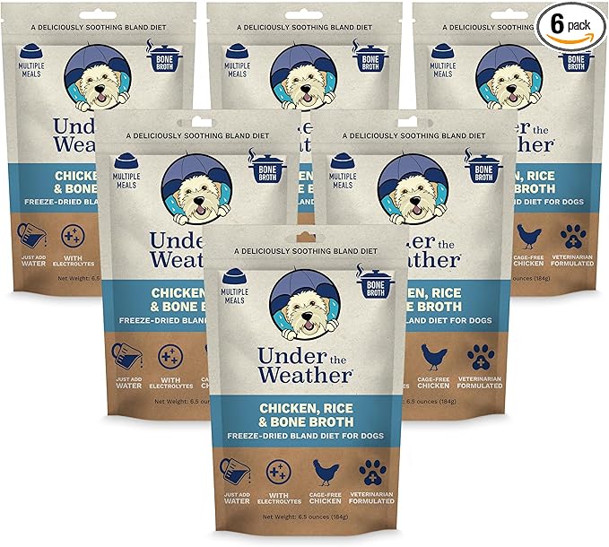 Easy to Digest Bland Diet for Sick Dogs - Always Be Ready - Contains Electrolytes - Gluten Free, All Natural, Freeze Dried 100% Human Grade Meats - 6 Pack Chicken, Rice & Bone Broth