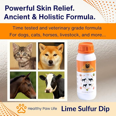 Lime Sulfur Dip – Concentrated Antimicrobial & Antiparasitic Solution for Itchy Skin, Mange, Ringworm & Dermatitis – Safe for Dogs, Cats, Puppies, Kittens, Horses, and Livestock (16 oz)