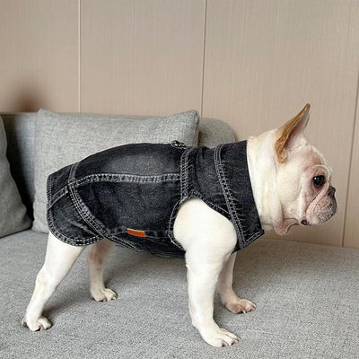 Dog Jean Jacket Pet Black Denim Coat for Puppy Small Dogs T-Shirt Fashion Classic Overalls Girl Male Boy Cat Costumes Vintage Machine Washable Vest Clothes Outfit Shirts(Black, Medium)