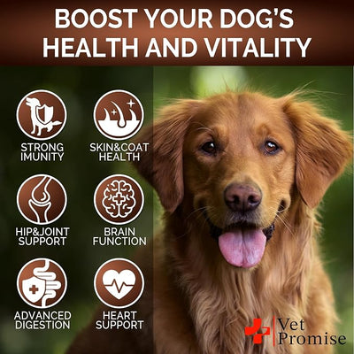 (2 Pack) Turkey Tail Mushroom for Dogs - 340 Chews - Mushroom Supplement for Dogs - Lions Mane - Reishi - Immunity Support Multivitamin Vitamins - Joint Health - Energy - Gut - Skin - Made in USA