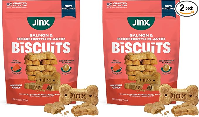 Oven-Baked Salmon Bone Broth Biscuit Dog Treats - Crunchy, All Natural, Superfood-Rich with High-Protein Salmon, Dog Biscuits for Puppies, Adults & Seniors - 16oz (Pack of 2)